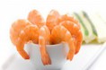/album/fotogalerie-novinky/scampi-5-jpg2/